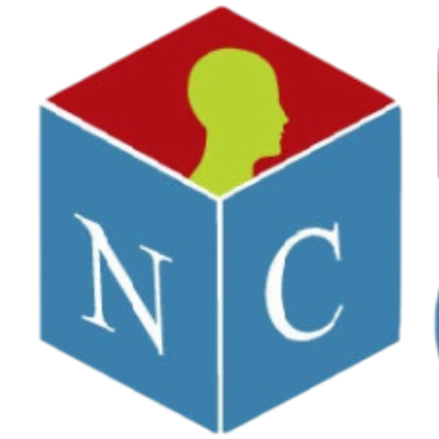 Nerd Castle Ltd. logo