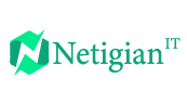Netigian IT logo