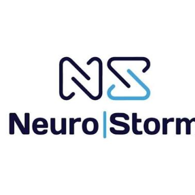 NeuroStorm logo