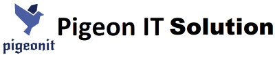 Pigeon IT Solution logo