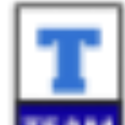 Team Solutions Bangladesh logo