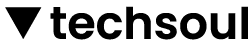 Techsoul logo