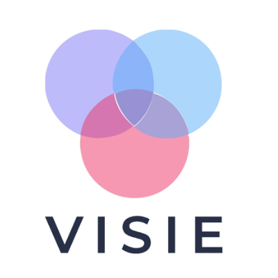 VISIE Limited logo