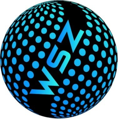World Soft Zone logo