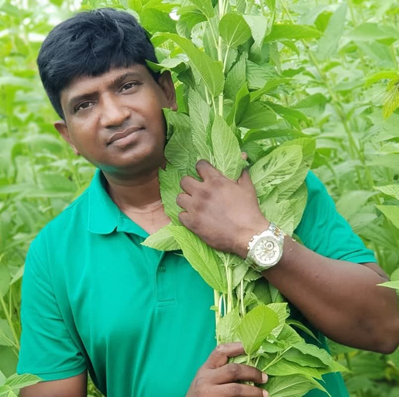 SARDER AL MAMUN