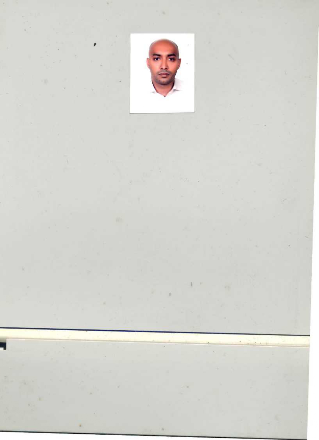 Mohammad Mostafa Haider